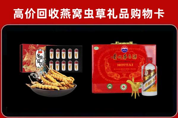 商洛市柞水回收冬虫夏草